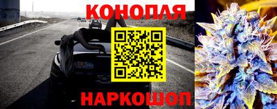 прущие крисы Малгобек