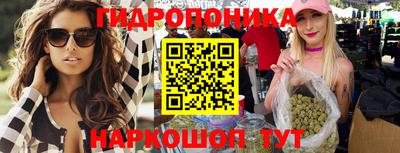 прущие крисы Малгобек
