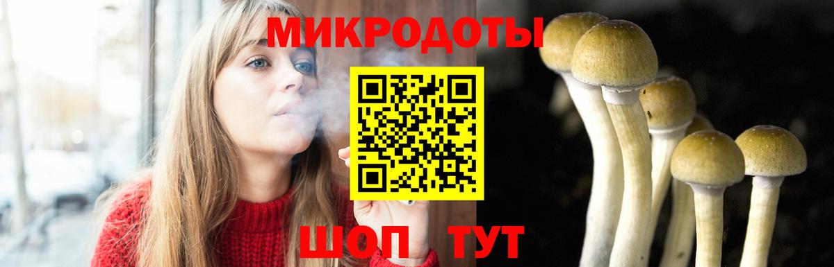 Псилоцибиновые грибы Psilocybe  Галлюциногенные грибы MAGIC MUSHROOMS  Сочи  Вход с VPN 